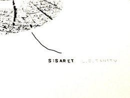 Sisaret – screen print