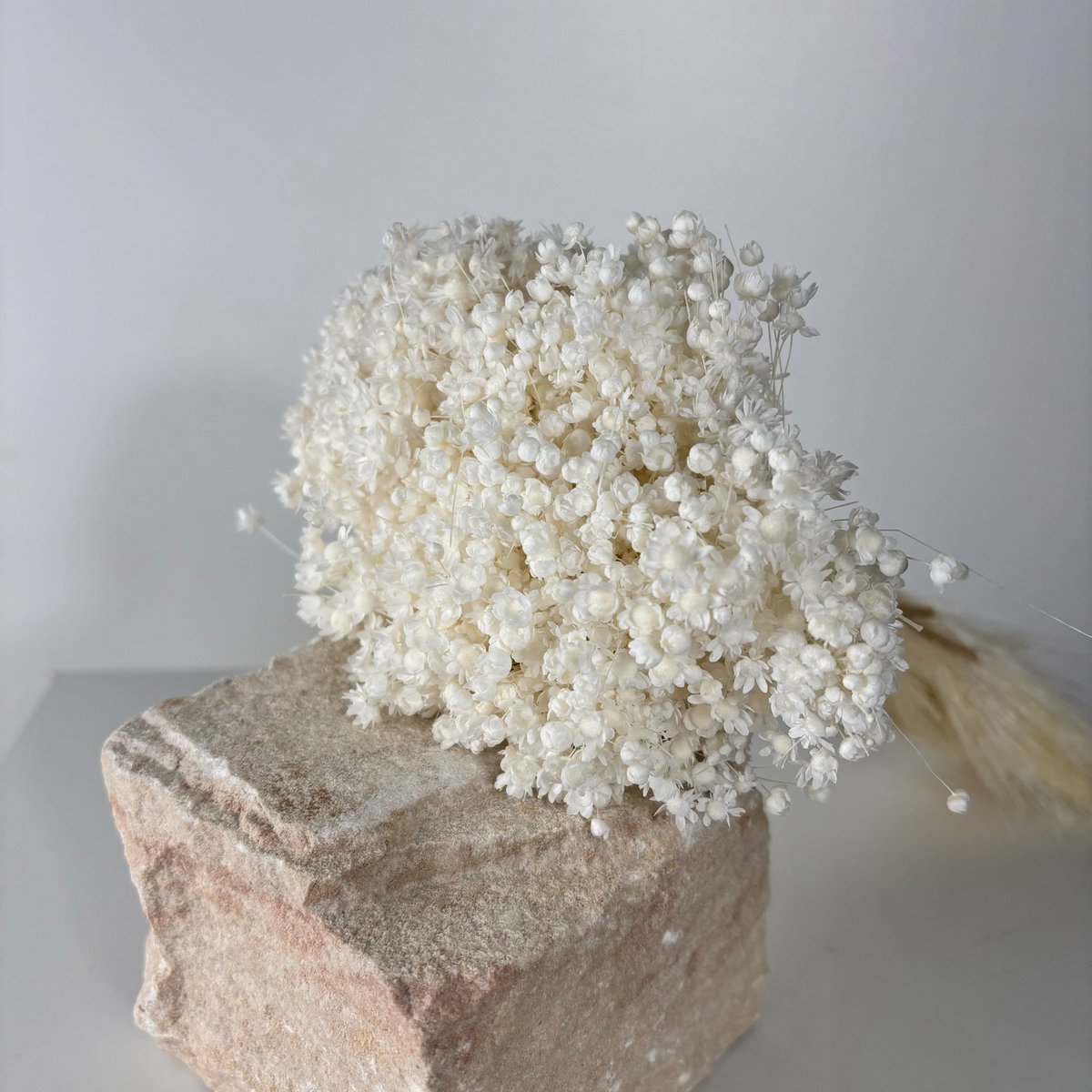 weiß 1 großer Bund