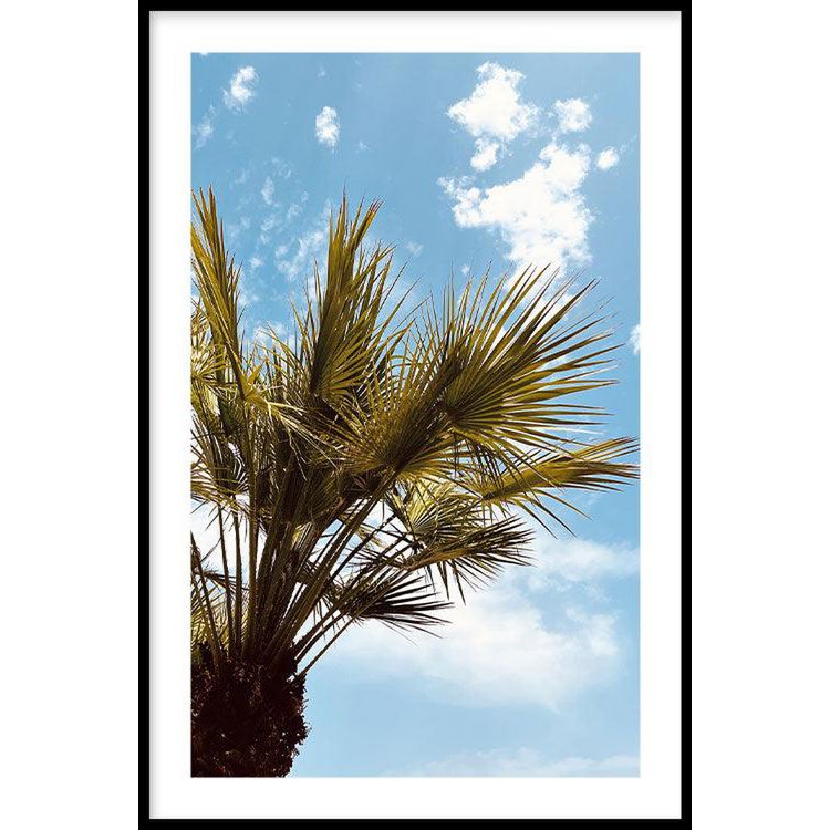 Beau palmier