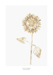 a year in bloom. Set of 12 handprinted floral postcards.