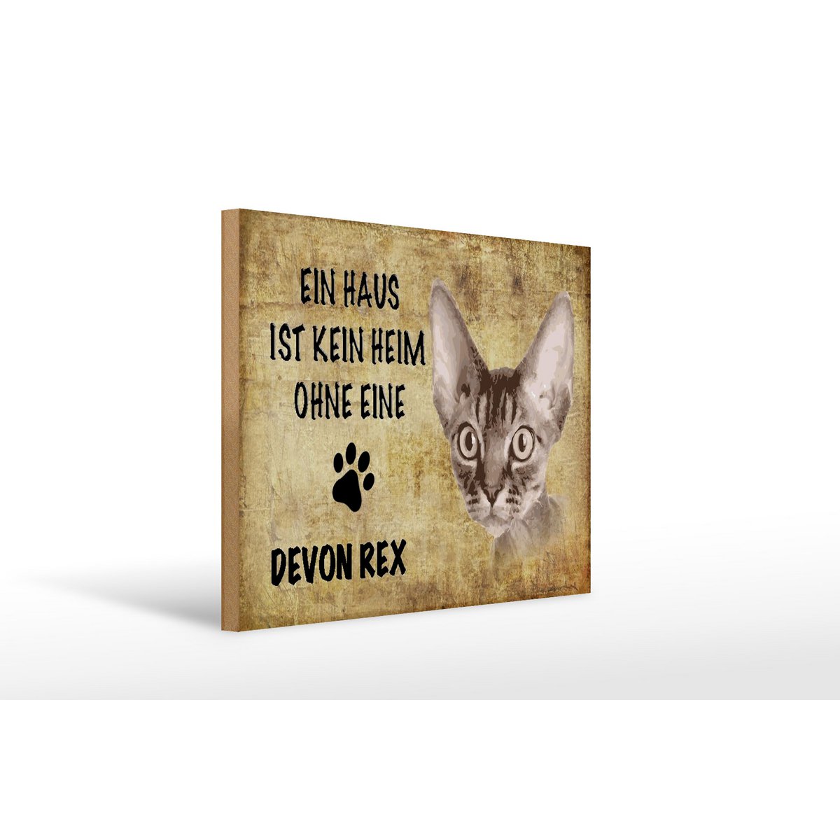 Metal sign saying 40x30cm Devon Rex cat without no home