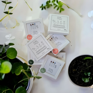 Seed, Grow & Eat | Lemon balm (NEW ♥ Letterbox proof packaging)