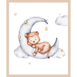Rahmenbild - Mond