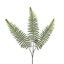 Fronde - 50cm