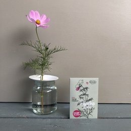 Bloemenzaden 'Blijdschap zaaien'