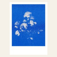Risography Postcard - Rose N ° 1 - DIN A6