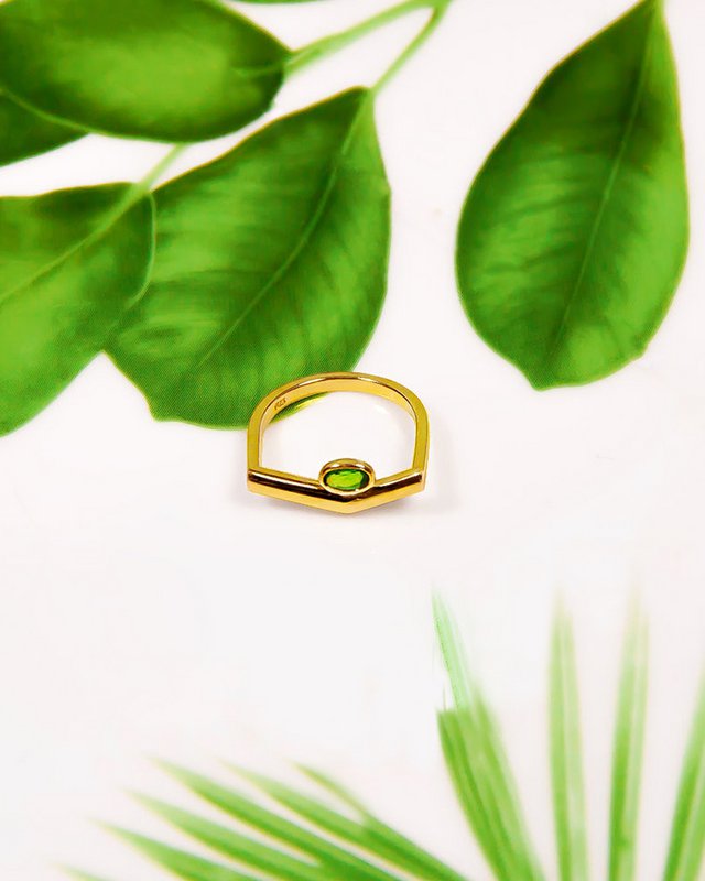 Pioneer Ring guld