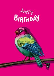Colorful birthday card with a vibrant parrot perched on a branch against a bright pink background. The card features the text "Happy Birthday" in a handwritten style.