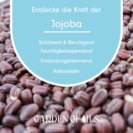 Jojobaolie 100ml (økologisk)