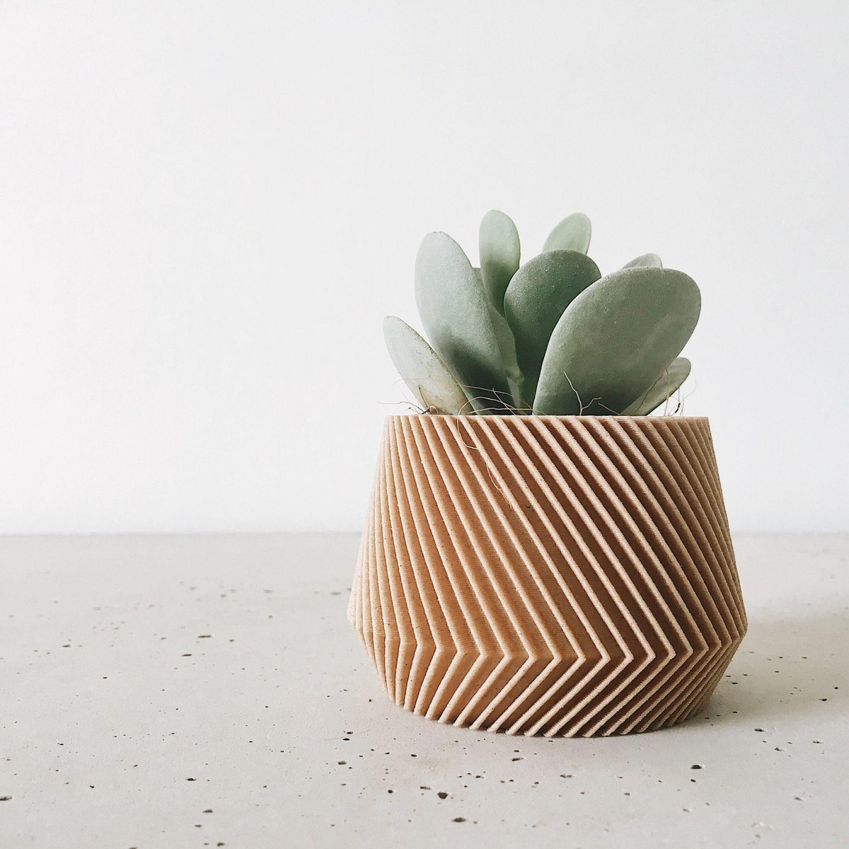 Natural Wood M - 8.5 cm inner diameter