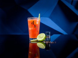 The Drunken Horse Gin