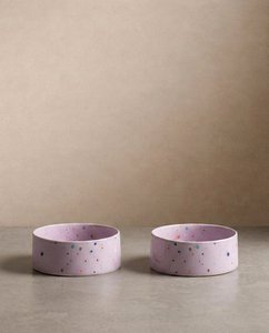 New Party Pet Bowl 14cm Set 2 Lilac