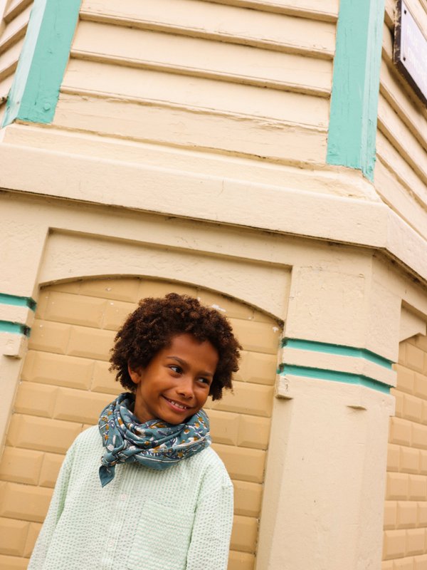 Dheli Celadon Adult Scarf 100 cm