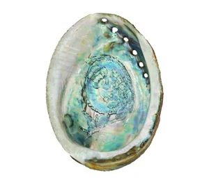 Abalone Smudge Bowl for smoking