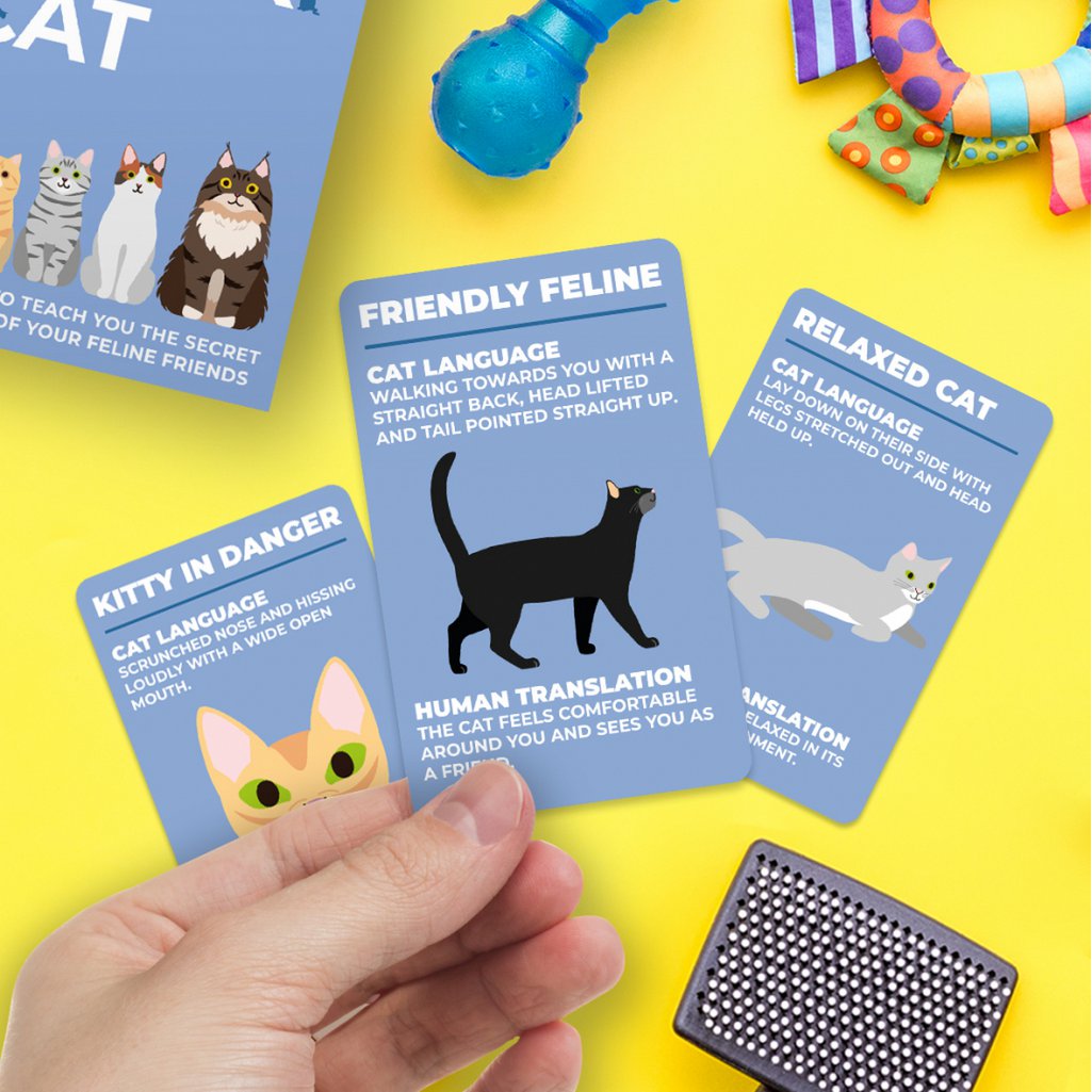 Geschenkrepublik Kaarenset - Wie man Katze spricht