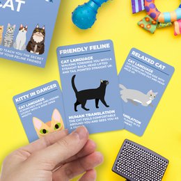 Geschenkrepublik Kaarenset - Wie man Katze spricht
