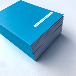 'Shit They Make Me Do Every Day' A6 Planner