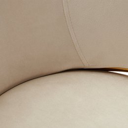 Dalila eetstoelen [set van 2] [Velvet]