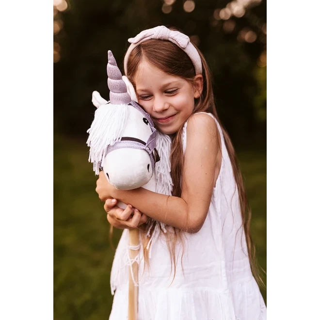 Unicorn horn and dumbbell pink