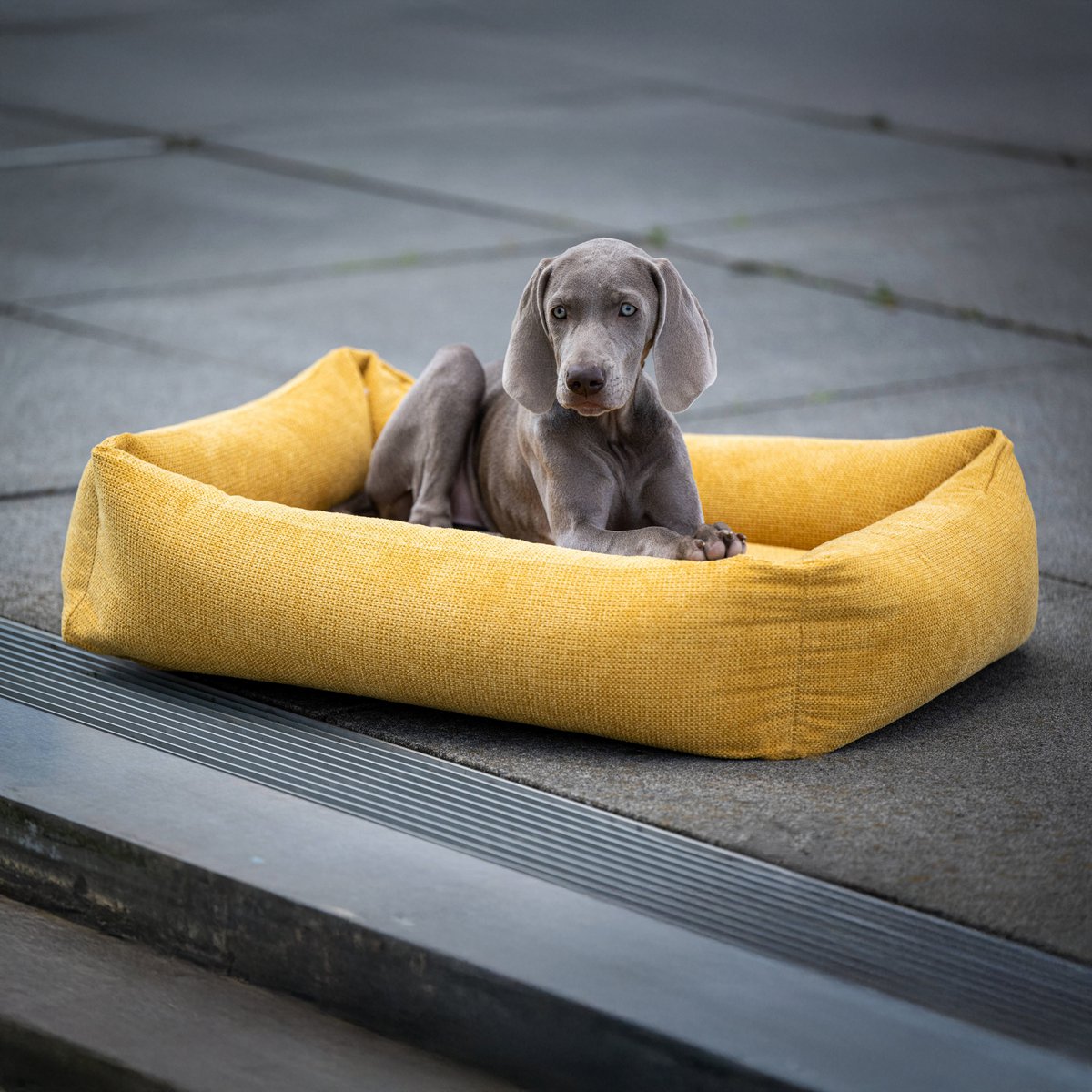 TUDOR ORTHO | Premium Orthopedic Dog Bed