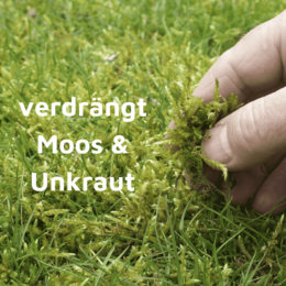 Rasenmax Rasendünger Rasen Booster 3 kg - für 120 m2 Rasenfläche