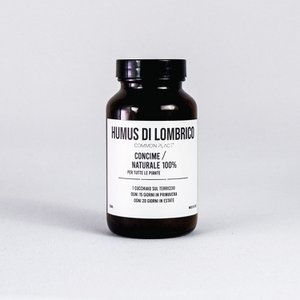 Lampo's humus
