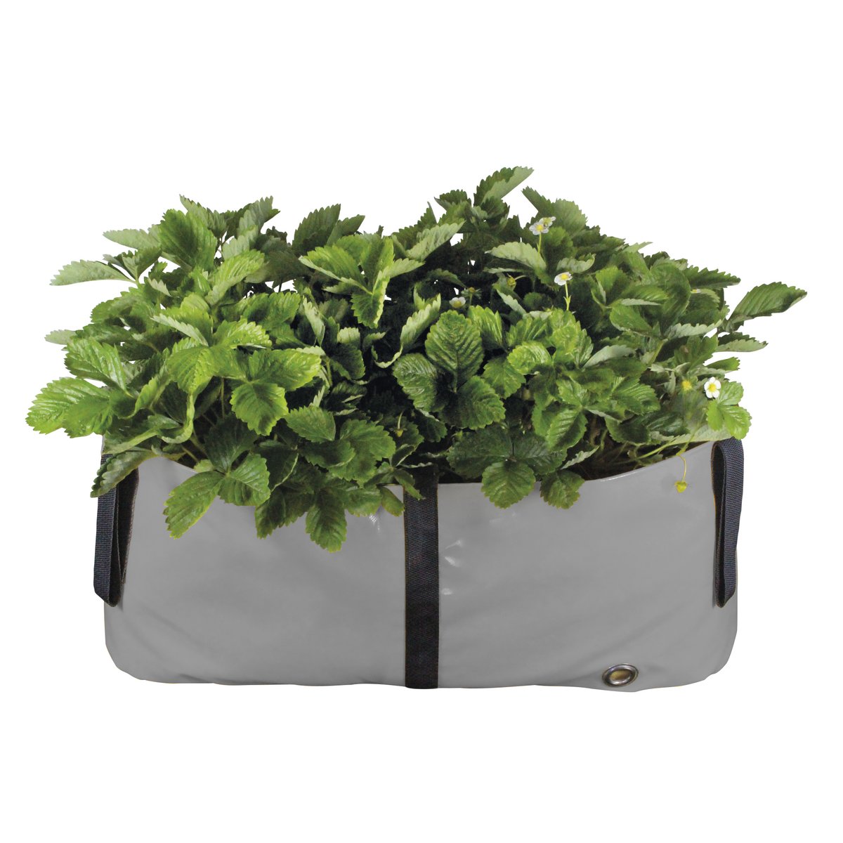 Het Groene Blok M