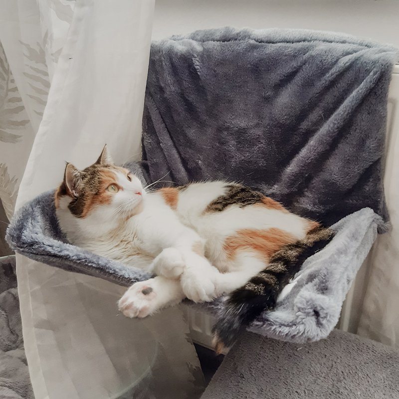 ne & no cozy radiator bed for cats + 5 matatabi sticks