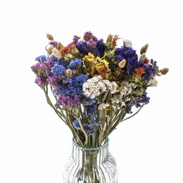 Tørrede blomster sæt Eng-statice, tidsel, phalaris