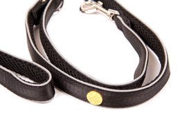 Hundesnor sort, M