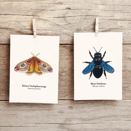 Postkort nachtfauenauge, miniprint nachtfalter
