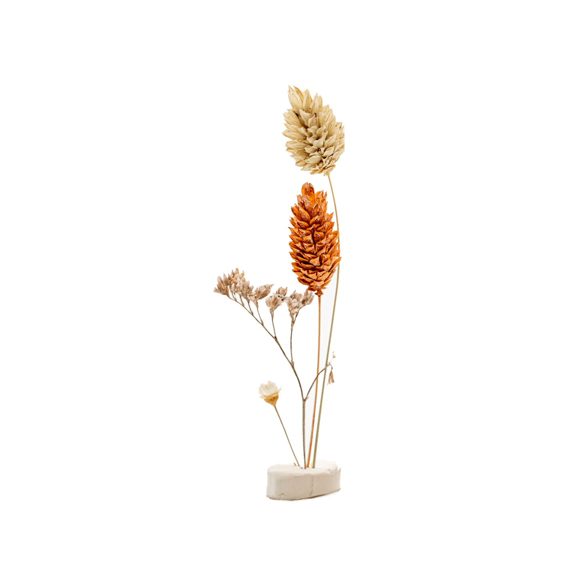 Fleur séchée en argile