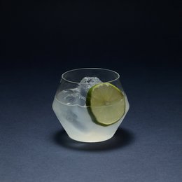 Juniper Short Tumbler / DOF -glas / set van 2