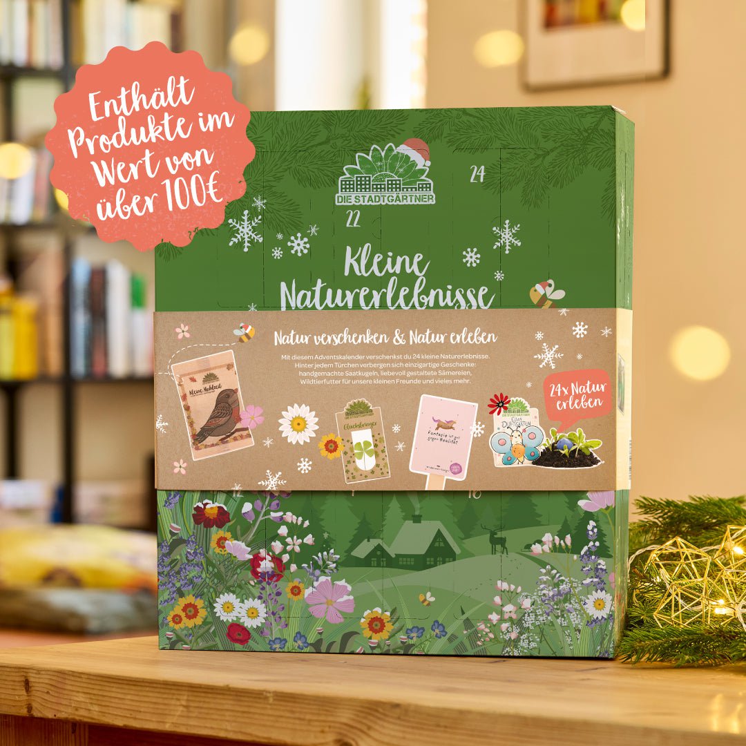 Stadtgärtner-Adventskalender 2026