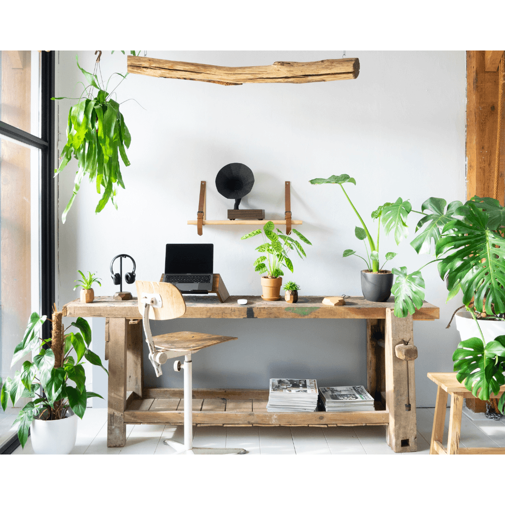 Acoustibox - L'amplificateur acoustique pour smartphone