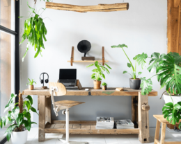 Acoustibox - L'amplificateur acoustique pour smartphone