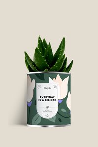 EVERYDAY IS A BIG DAY - Large model