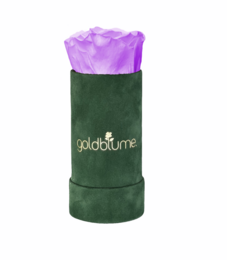 Velvet Green Collection
