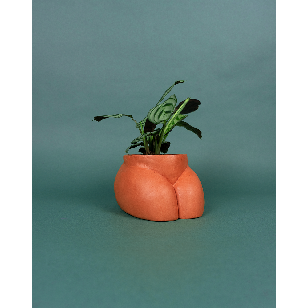 CACHE POT - SMALL BUTTLE