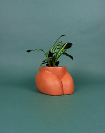 CACHE POT - PETIT FESSIER