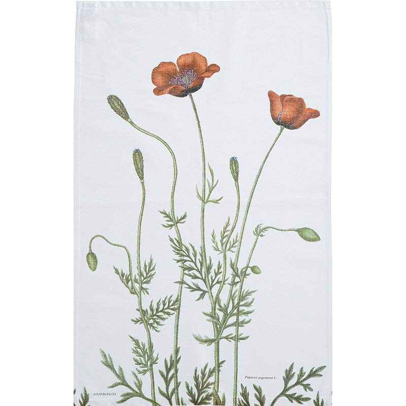 BIO THEEDOEK - PICKLY POPPY