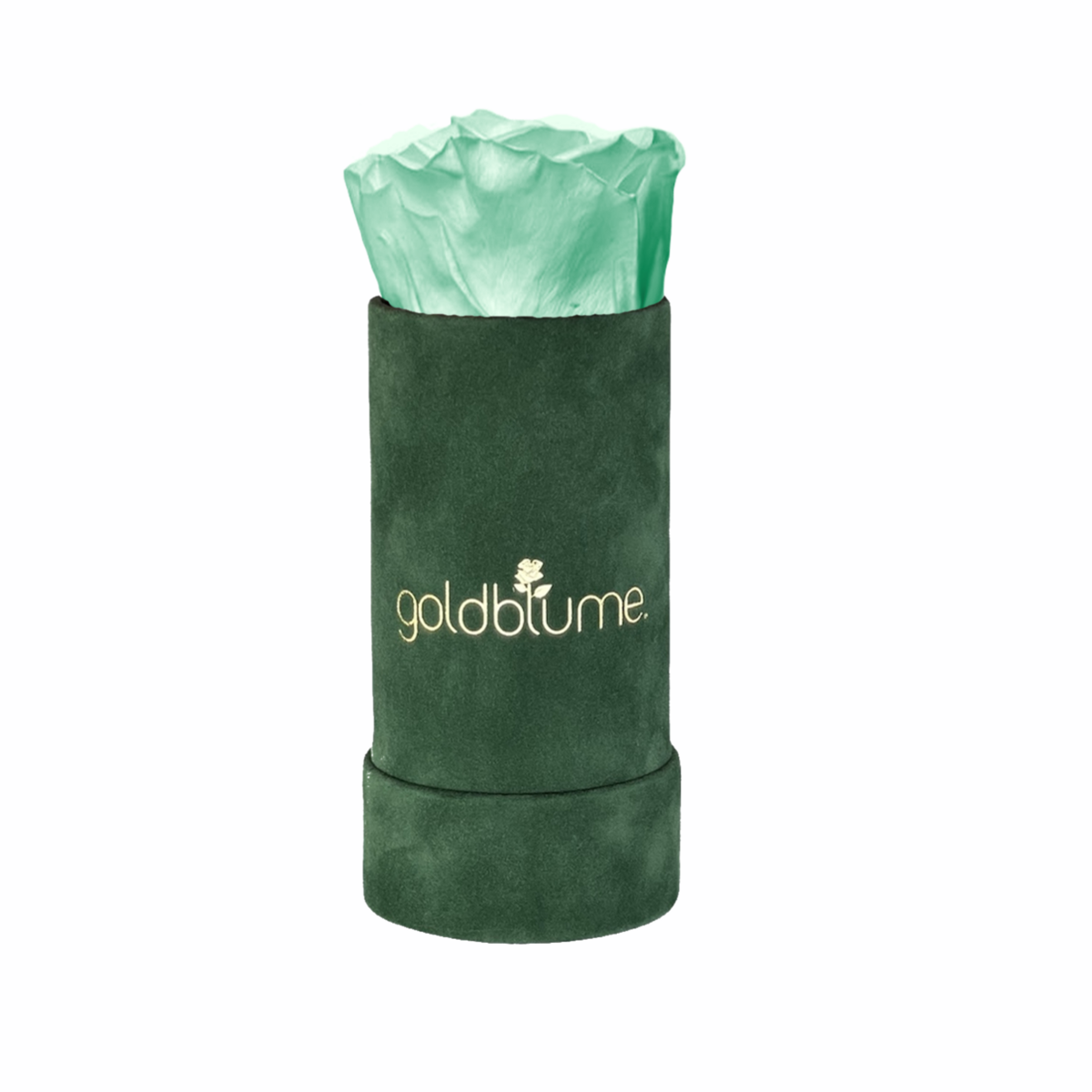 Velvet Green Collection