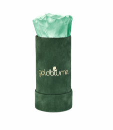 Velvet Green Collection