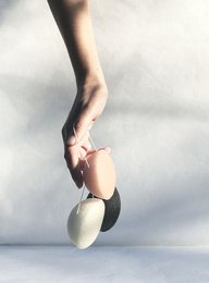 Konjac svamp