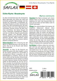 Echte Myrte / Brautmyrte