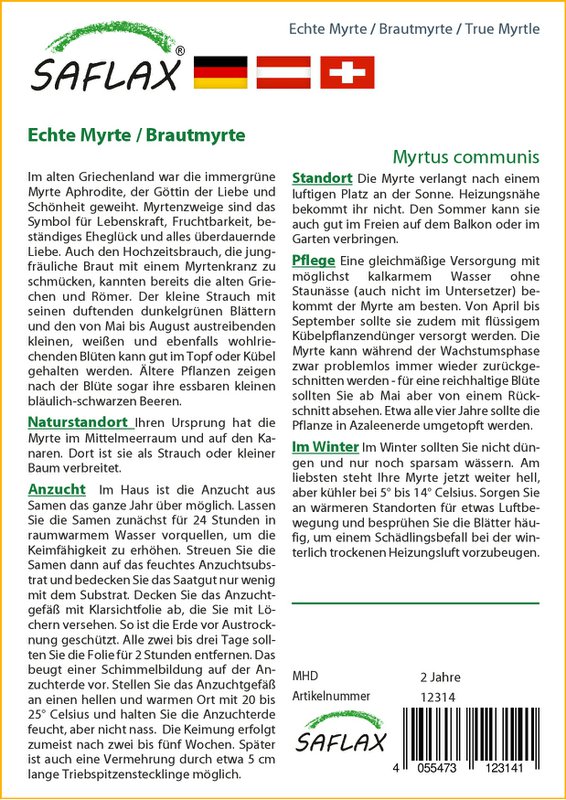 Echte Myrte / Brautmyrte