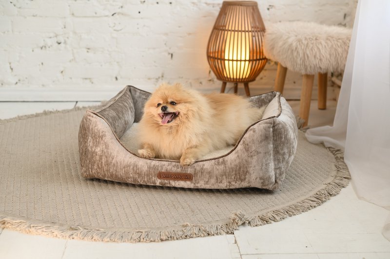 Phoebe Luxury Dog Bed – Premium Velvet, håndlavet i Europa, moderne designerstil
