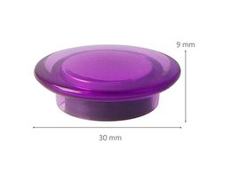 Magnet Westcott ist. transp. Farbpackung mit 10 Stück 30x8mm, 900gr.