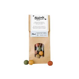 Kraft Bag 10 Pieces Seed Bomb
