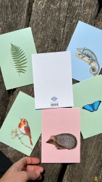 Postkarte Robin